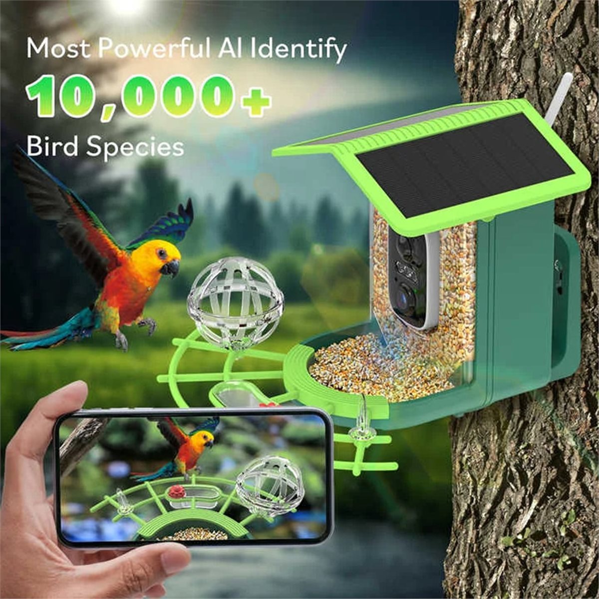ABPP Smart Bird Feeder Camera  - Power Tools Ai recensie en prijs